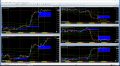 NZD