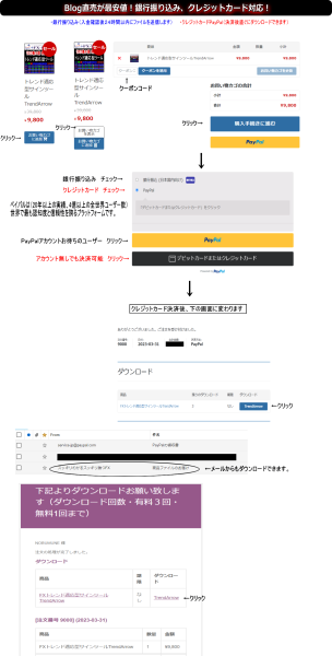 paypal-304x600 paypal